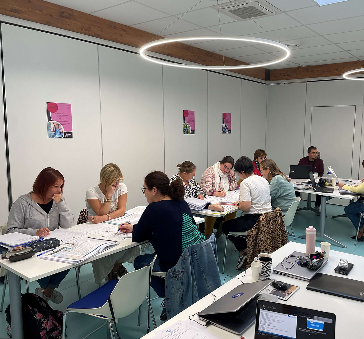 Session de formation MAPPI® avec un groupe d'apprenants en situation de travail
